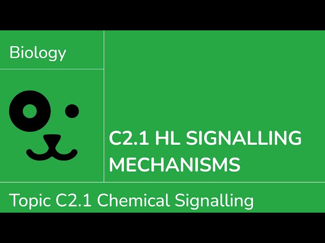 C2.1 HL Signalling Mechanisms [IB Biology HL]