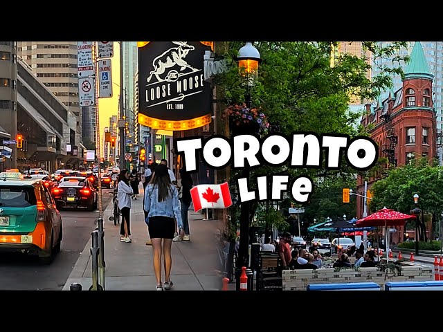 Toronto life Downtown #Toronto #Canada 🇨🇦 4K