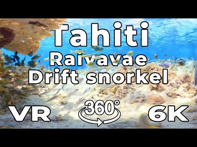 Tahiti in VR - Drift Snorkel in Raivavae Motu Coral Garden in Virtual Reality 5.7K 360º