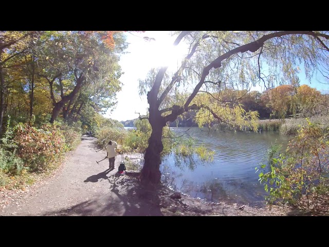 Explore 360 - High Park Oct 23 2020 part 1