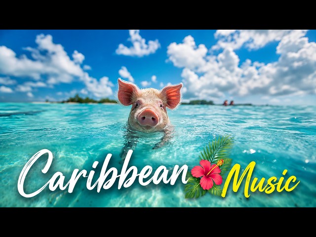 Caribbean Beach Music | Tropical Island Vibes for Home, Classroom, Office & Work