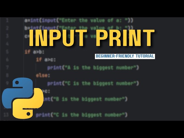 input and print in 5 minutes! (beginner-friendly Python tutorial)
