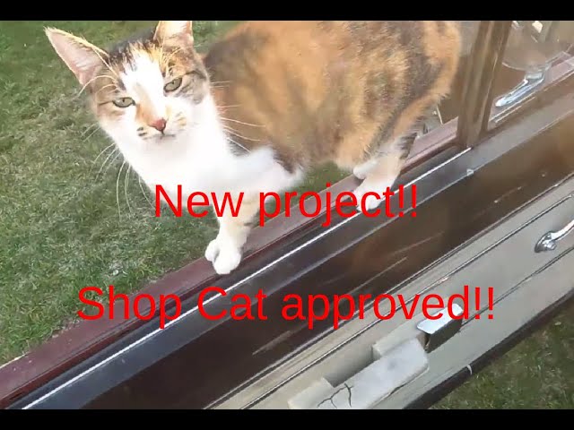 From Outdoor Storage To My Backyard - Introducing My Newest Project #mopar #project