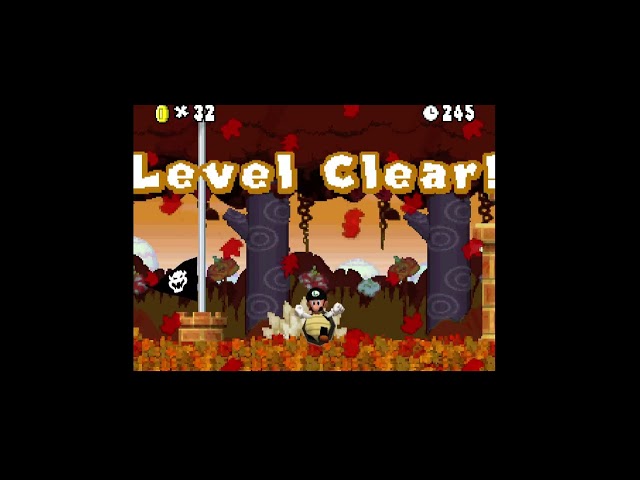 Newer Super Mario Bros. DS 100% Longplay(All Star Coins)