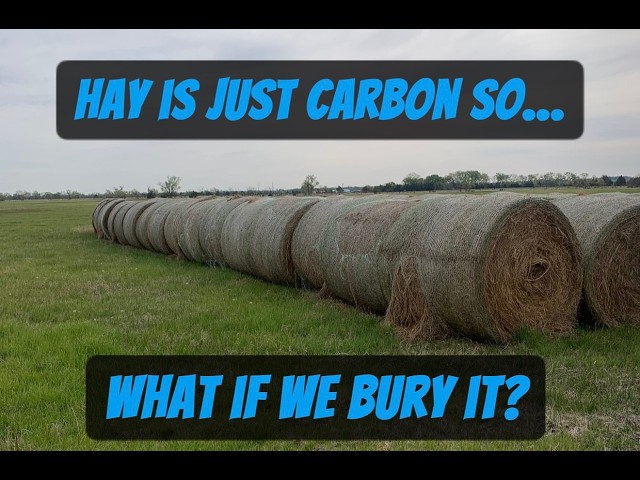 Conservation Economy