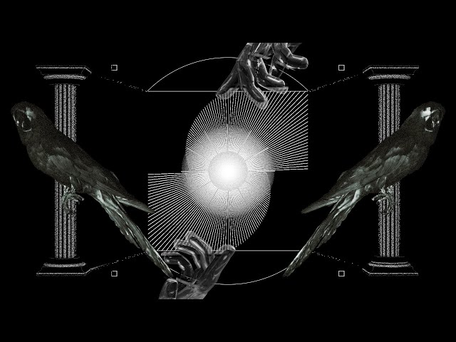 Free Vj Loop 29