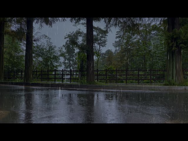 Calm rain on a quiet street, peace of mind, goodbye to insomnia, the perfect sound of rain, lullaby
