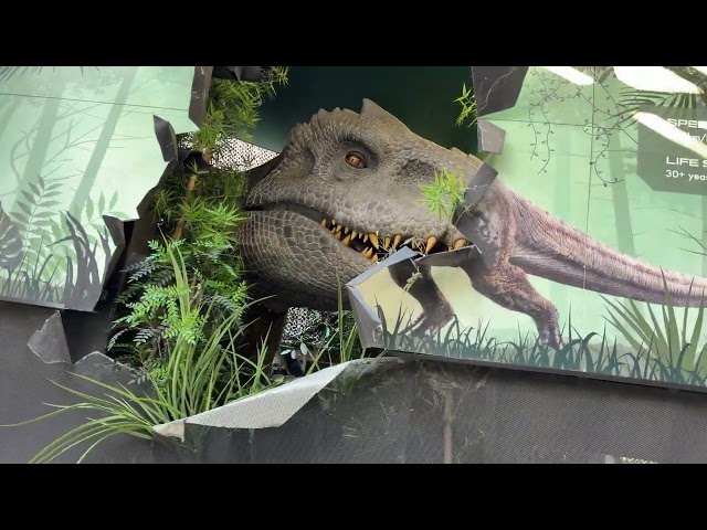 Jurassic World The Ride POV 2026 - Universal Studios Hollywood 