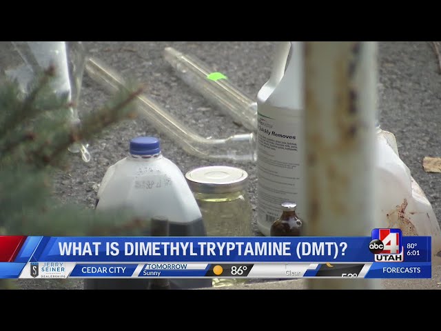 What is dimethyltryptamine (DMT)? (6 p.m.)