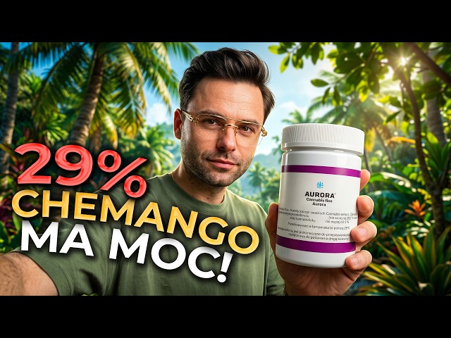 AURORA 29% CHEMANGO KUSH – A potent strain or just potent marketing?