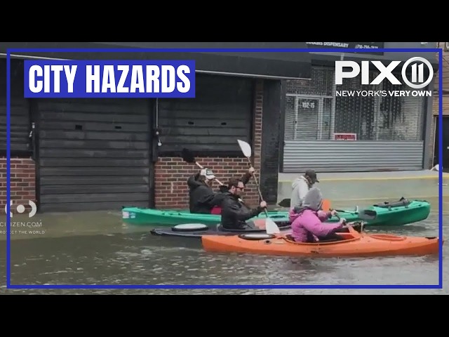 Trees down in the Bronx, kayakers seen in Queens