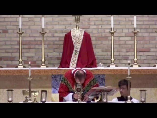 A possible miracle at the Catholic Mass? #catholicmass #eucharist 