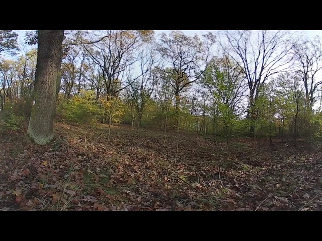 10 minutes break in: Volks- Waldpark Wuhlheide, Berlin (360 VR)
