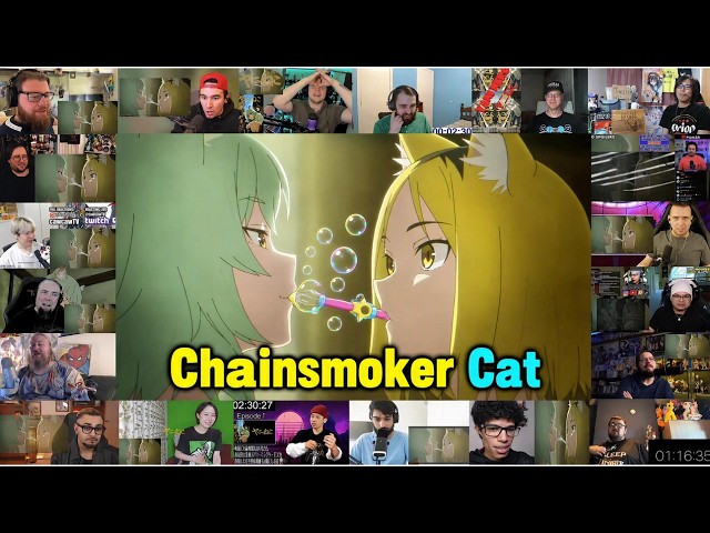 Chainsmoker Cat Opening "Nanmonee" by Wasureranneyo Super Mega Reaction Mashup
