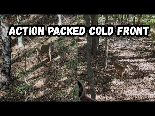 COLD FRONT GETS DEER MOVING | Indiana bow hunting 