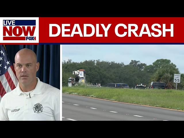Pilot killed after small plane crashes, hits power lines in Florida