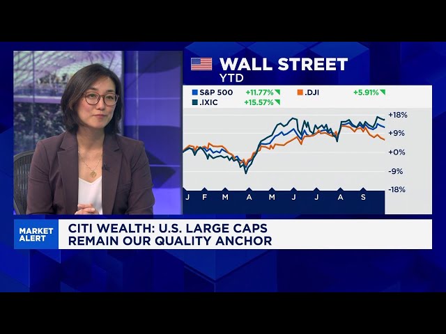 Strong fundamentals and resilient earnings growth make U.S. stocks a good buy: Citi Wealth