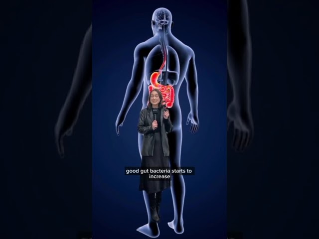 How your organs heal after quitting alcohol #Alcohol #Health