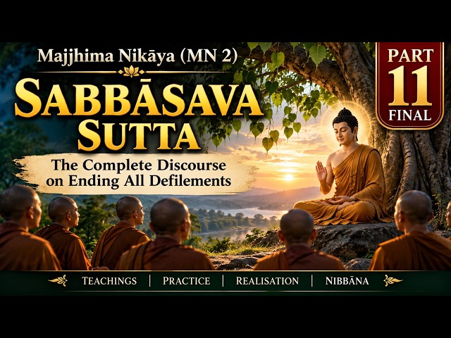 Sabbāsava Sutta (MN 2) Part 11 | The Seven Methods Come Together — The End of Suffering