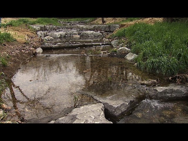 Natural Stream Restoration: Restoring Streams (Part III)