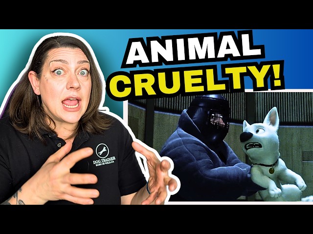 Dog Behaviorist Reacts: What Bolt gets right about dog behavior and issues in Hollywood