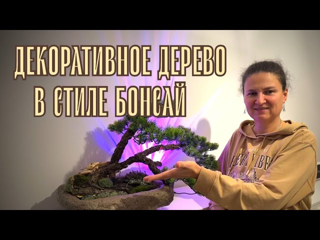 Here is what came of my ideas and materials on hand! #diy #handmade #bonsai #lifeabroad