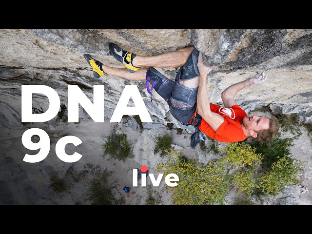 DNA (9c) - First LIVE Attempt