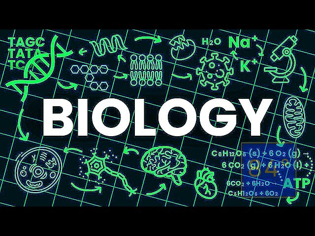 Biology Explained in 17 Minutes! 🌿 From DNA to Brainwaves