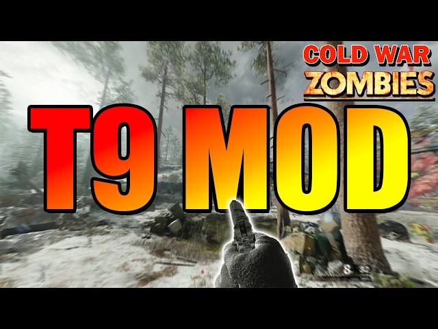 How To Install The T9 Mod For Cold War Zombies!