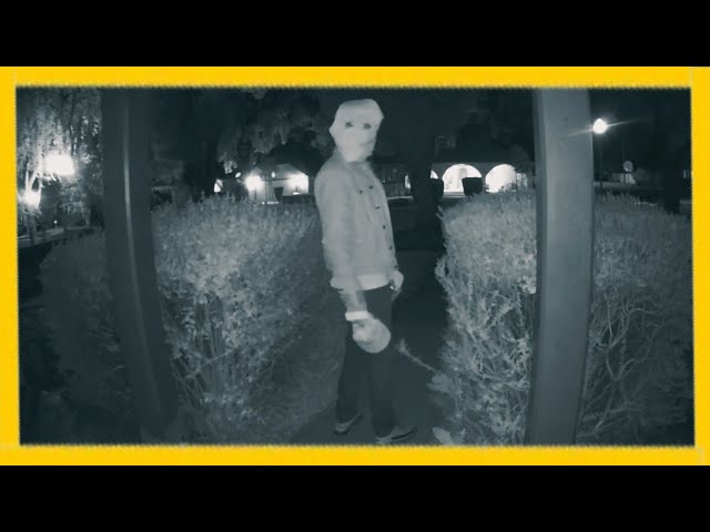 Ring Doorbell Horrors: The Scariest Footage Yet (Vol. 42)