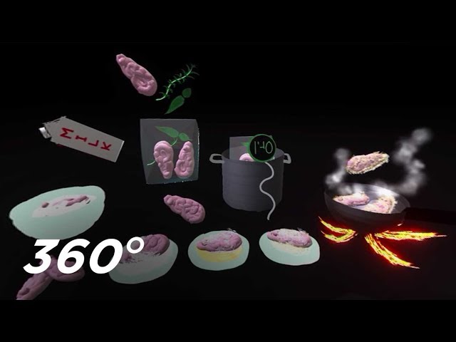 A Fine Dining Experience in VR | 360 video: Asian In America, 3 courses (Compiled)