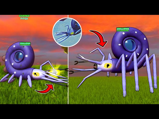 Big Update | How To Get New Aquautilus Badge Morph In Tiny Universe But Cluttered | Roblox TUR