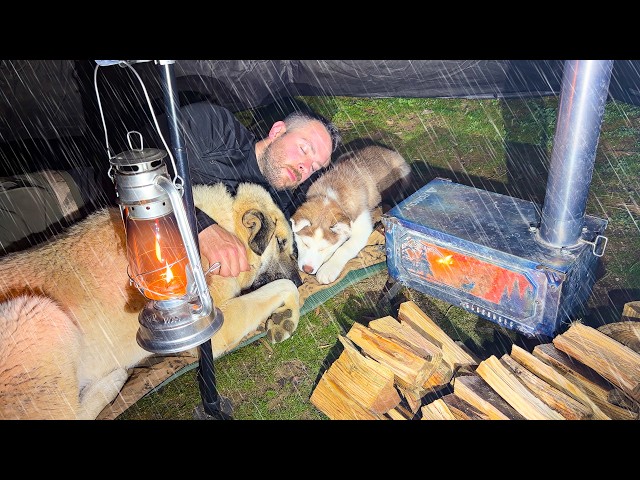 Hot Tent Rain Camping in Heavy Rain All Day! - Caught in Rainstorm With My Dogs!