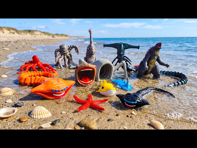 Discovering Mysterious Sea Monsters: Leviathan, Kraken, Bloop, Megalodon & Sea Eater!