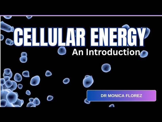 Cellular Health: A Pediatrician Explains What We May Be Missing