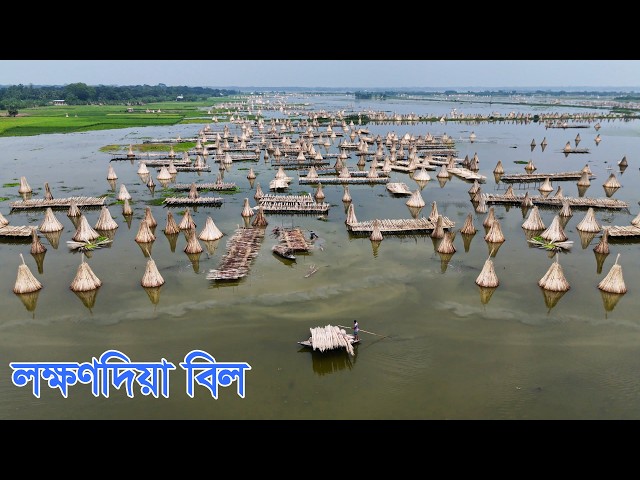 রাজবাড়ীর লক্ষণদিয়া বিলের বৈচিত্র্যময় জীবন | Panorama Documentary