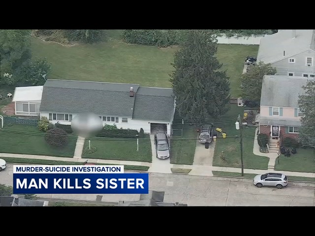 Brother, sister dead after murder-suicide at home