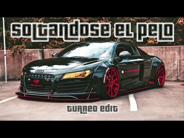 Soltandose El Pelo - Sammy & Falsetto Ft. Ñengo Flow - Turreo edit
