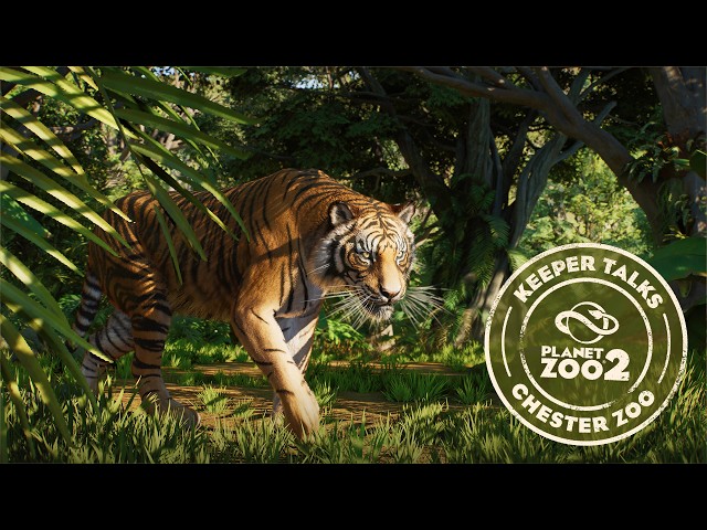 Planet Zoo 2 | Keeper Talks - Sumatran Tiger
