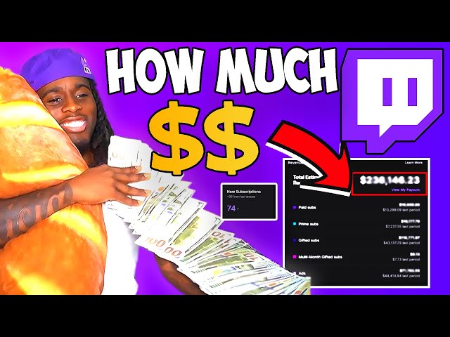 How Much MONEY Do Twitch Streamers ACTUALLY Make - Updated for 2025