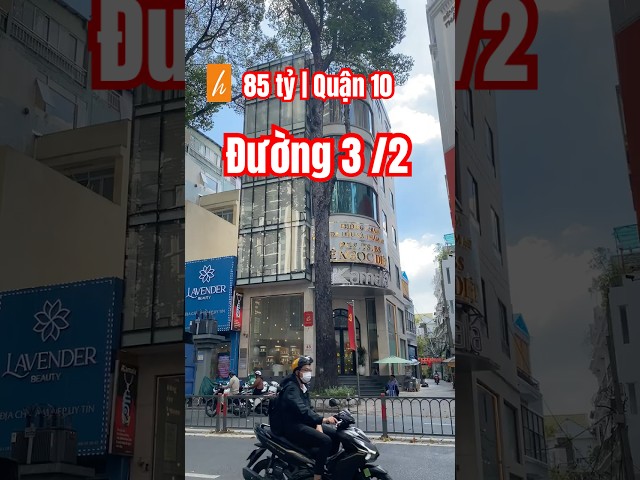 Nhà phố 3 tháng 2, Quận 10 | 8.2x12m, 85m2 | DTS:1148.1m2 |HĐT: 251 triệu/tháng | giá: 85 tỷ