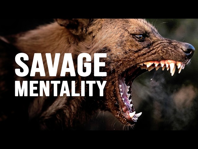 SAVAGE MENTALITY - Motivational Speech