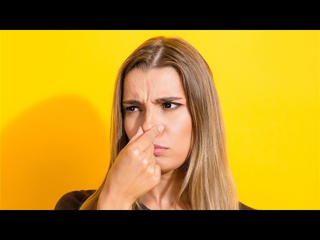 The Biggest Lies We Built History On
