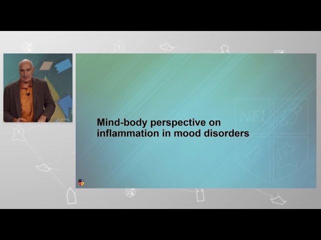 “Parceria bipp + NEI”: “COMPREENSÃO EVOLUTIVA DO PAPEL DA INFLAMAÇÃO NA SAÚDE MENTAL” - Parte 4