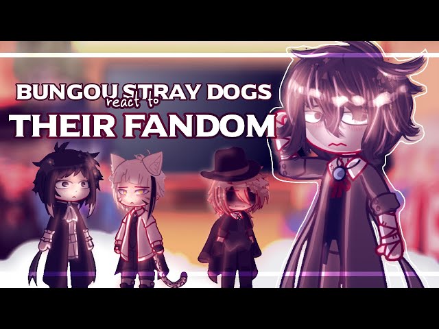 •BSD react to Their Fandom || Gacha Reaction Video || BSD•