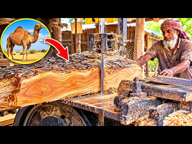 🔥 Incredible Wood Cutting Machine | Massive Log Sawing & Satisfying ASMR Sounds #Live #ASMR
