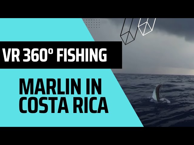 VR 360 | Amazing Costa Rica Deep Sea Fishing | Caught me a marlin!
