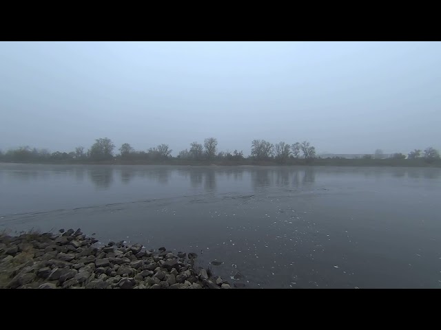Calf Visinse 3D VR180 Camera Test - Firmware 3.0.8