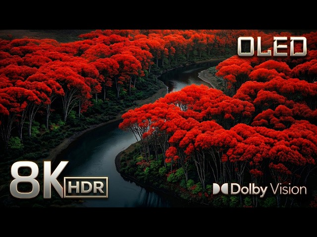 Pure 8K Visual Heaven — Dolby Vision HDR 120FPS at Its Finest (4K/8K TV)