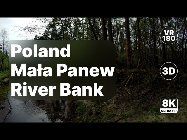 Poland Mała Panew - Riverbank Walk 8K 180 3D